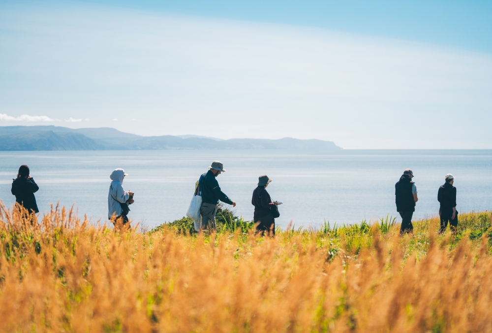 Newfoundland and Labrador Canada during the day outside in summer near Green Point Geological Site with people walking down the grassland with the water and mountains in the horizon